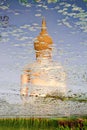 Shadow golden Buddha in the lotus pond. Royalty Free Stock Photo