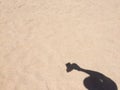 Shadow hand hold camera take a photo on the beach. Royalty Free Stock Photo