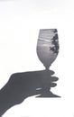 Shadow of a hand holding a glass on a white background. Sun glare from the glass. Royalty Free Stock Photo