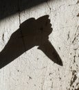 Shadow of the hand holding a knife