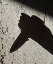 Shadow of the hand holding a knife Royalty Free Stock Photo