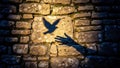 Shadow of a hand reaching for a flying bird on a rustic stone wall. Royalty Free Stock Photo