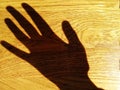 Shadow of the hand.