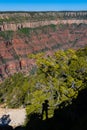 Shadow of Hiker at Canyon Overlook on The Bright Angel Point Trail Royalty Free Stock Photo