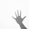 shadow human palm white backdrop. High quality photo