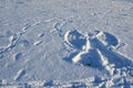 Shadow imprint of angel in snow