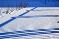 The shadow of an iron fence on flat snow from the sun next to bald bush