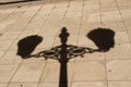 Shadow of a lamppost