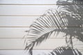 The shadow of the leaf palm branch on a white wooden wall surface backgeound Royalty Free Stock Photo