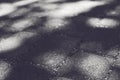 Shadow of leaf tree on brick ground