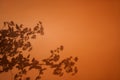 Shadow of leaf tree on orange background. Overlay