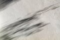 Shadow of leaves branches in wind show on the white wall background Royalty Free Stock Photo