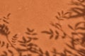 Shadow of leaves on brown concrete wall texture background Royalty Free Stock Photo