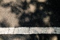 Shadow leaves on the floor parking lot empty, marked with white lines Royalty Free Stock Photo