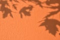 Shadow of leaves on orange concrete wall texture background Royalty Free Stock Photo