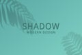 Shadow of leaves from window. Shadow palm leaf isolated on transparent background for effect overlay. Shade tropic plant for desig Royalty Free Stock Photo