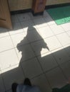 Shadow light   floortile board green Royalty Free Stock Photo