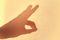The shadow of a male hand shows a gesture in the form of a rabbit, silhouette Royalty Free Stock Photo