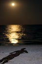 Shadow of a man on the beach of the sea, moonlight Royalty Free Stock Photo