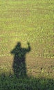 Shadow of a man with a raised hand on the background of a field with young greens