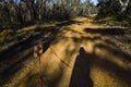 Shadow of man walking a dog Royalty Free Stock Photo