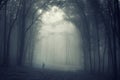 Shadow of man walking trough an eerie forest with fog