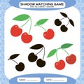 Shadow matching game. Find the correct shadows. Activity page for kids. Kindergarten worksheets by matching colorful