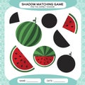 Shadow matching game. Find the correct shadows. Activity page for kids. Kindergarten worksheets by matching colorful