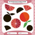 Shadow matching game. Find the correct shadows. Activity page for kids. Kindergarten worksheets by matching colorful