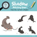 Shadow matching game Funny Catfish animal cartoon character vector illustration Royalty Free Stock Photo