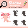 Shadow matching game standing axolotl mexican salamander vector illustration