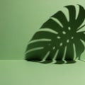 Shadow of Monstera Leaf on Green Surface for Nature Decor Royalty Free Stock Photo