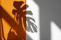 Shadow from Monstera. Monstera in the sun. Beautiful combination of colors: white and orange. Details of the modern interior. Royalty Free Stock Photo