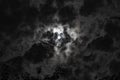 A shadow from the moon covers part of the sun against the backdrop of dramatically gray clouds and tree branches Royalty Free Stock Photo