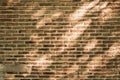 Shadow of nature leaves on damaged brick wall background Royalty Free Stock Photo