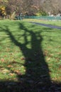 Shadow of oak tree Disley, Stockport, Darbyshire England Lyme Pa Royalty Free Stock Photo