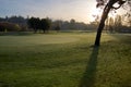 Shadow of oak tree falls across dew covered lawn of golf course in morning Royalty Free Stock Photo