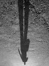 Shadow of a one-armed man