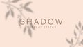 Shadow overlay effect. Transparent soft light and shadows from branches, plant, foliage and leaves. Mockup of