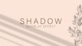 Shadow overlay effect. Transparent soft light and shadows from branches, plant, foliage and leaves. Mockup of