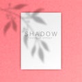 Shadow overlay effect. Transparent soft light and shadows from branches, plant, foliage and leaves. Mockup of Royalty Free Stock Photo