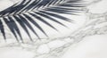 A shadow of a palm leaf Royalty Free Stock Photo