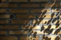 Shadow of palm leaf on red brick wall background Royalty Free Stock Photo