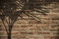 Shadow of palm leaf on red brick wall background Royalty Free Stock Photo
