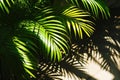 Shadow palm leaves. Generate Ai Royalty Free Stock Photo