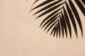 A shadow of palm leaves on a pastel beige surface background Royalty Free Stock Photo