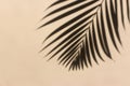 A shadow of palm leaves on a pastel beige surface background Royalty Free Stock Photo