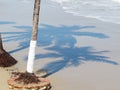 Shadow from palm leaves on sandy beach Royalty Free Stock Photo