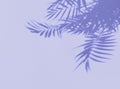 Shadow palm leaves violet very peri floral background