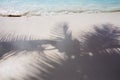 Shadow from palm leaves on white sand beach